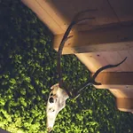 Tauernflair Premium Casa 아파트 푸슈안데르글로크네르스트라세