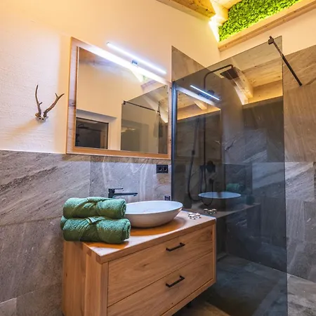 Apartman Tauernflair Premium Casa