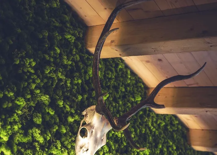 Tauernflair Premium Casa Daire Fusch an der Glocknerstraße